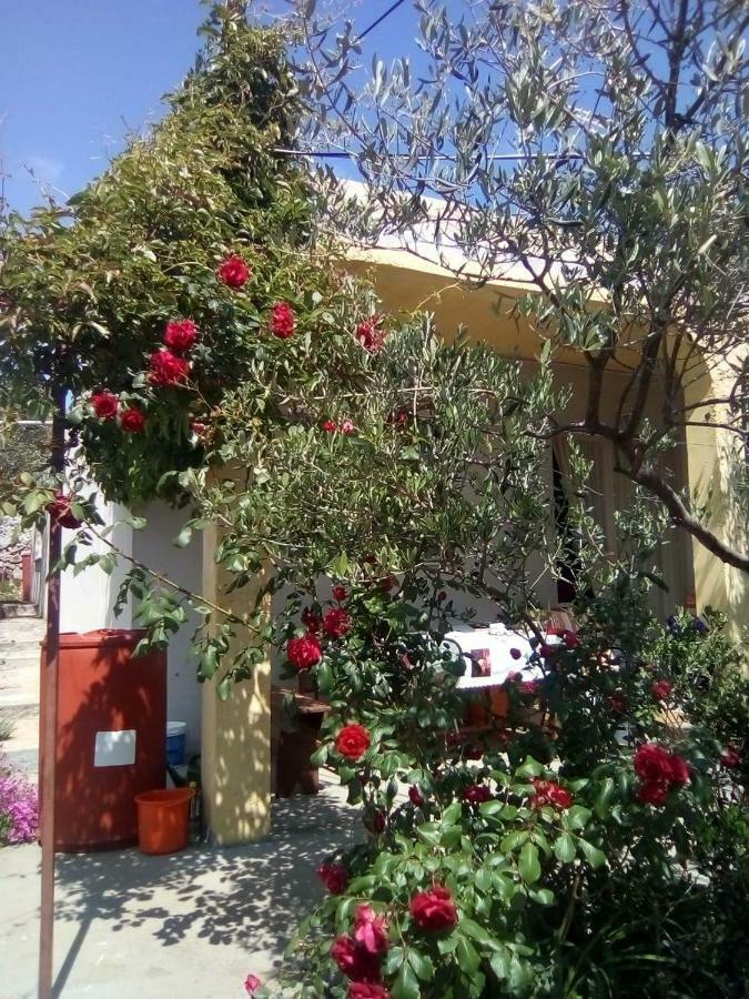 Holiday Home Zeljana Kaprije Exterior foto