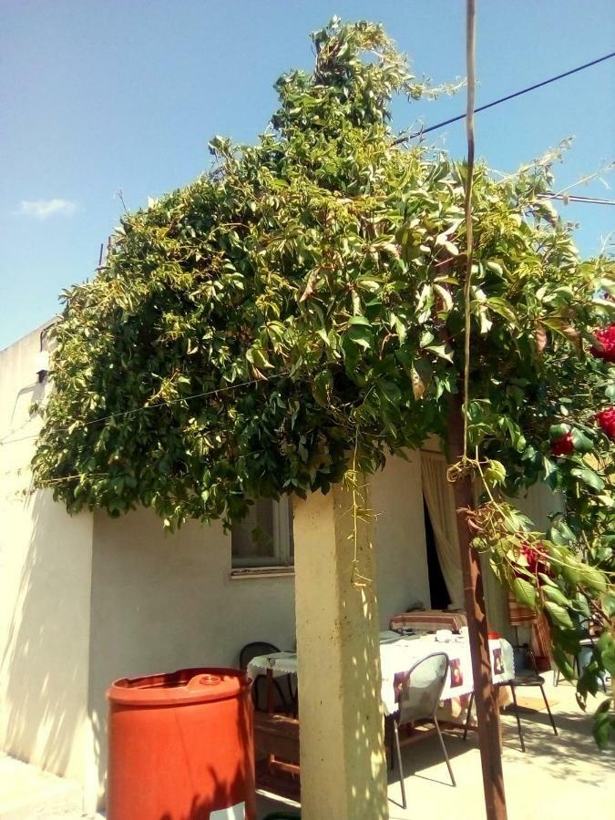 Holiday Home Zeljana Kaprije Exterior foto